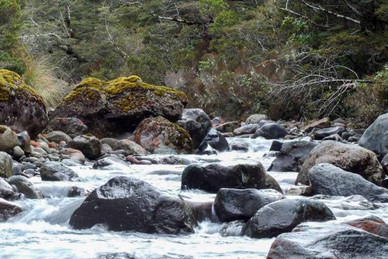 Taranaki Stream