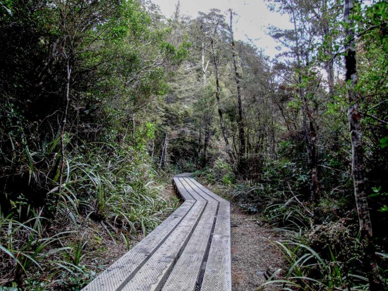 Taranaki Falls Walk, Mt Ruapehu