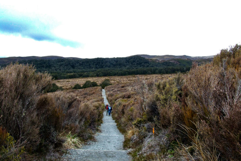 Taranaki Falls Walk, Mt Ruapehu