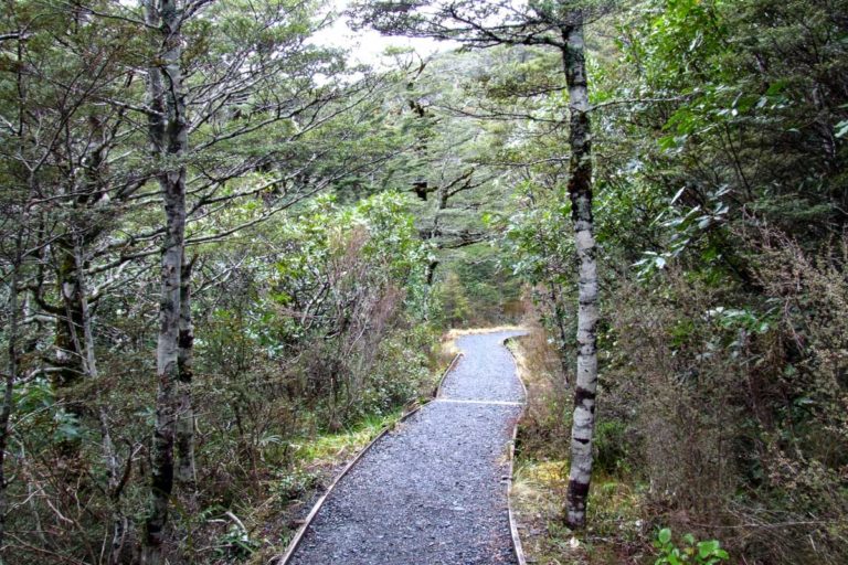Taranaki Falls Walk, Mt Ruapehu
