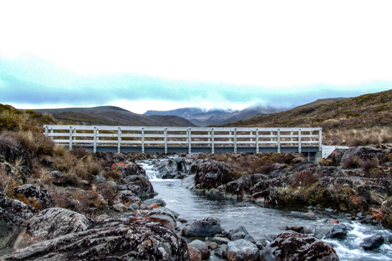 Taranaki Stream