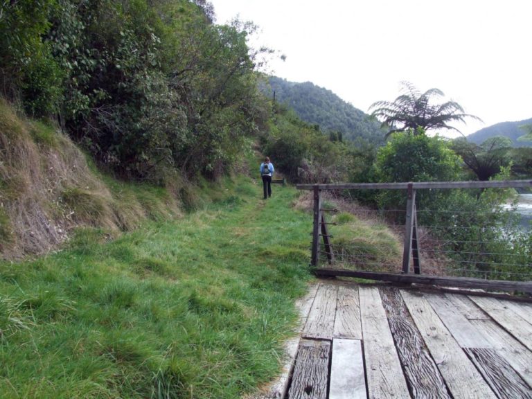 Tauranga Stream suspension Bridge