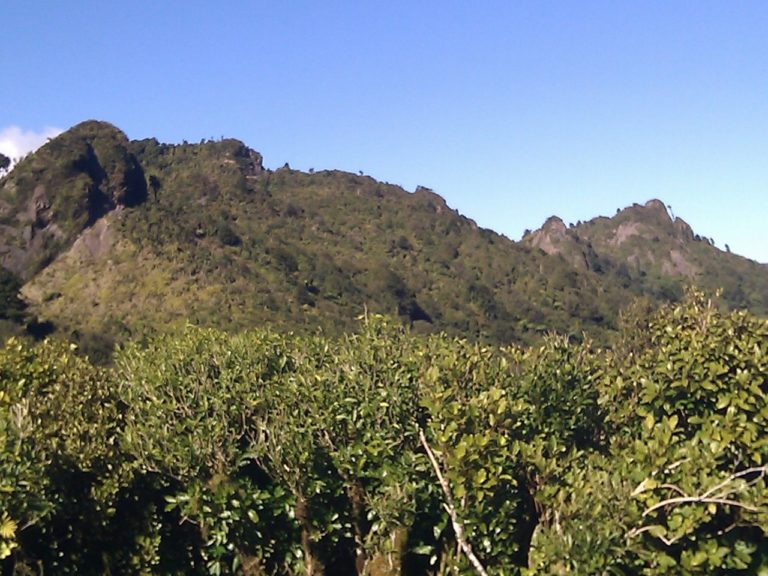 Looking South along the Kaimai range