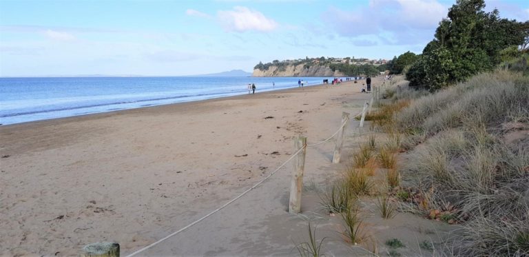 The beach at Long Bay Regional Park in Auckland