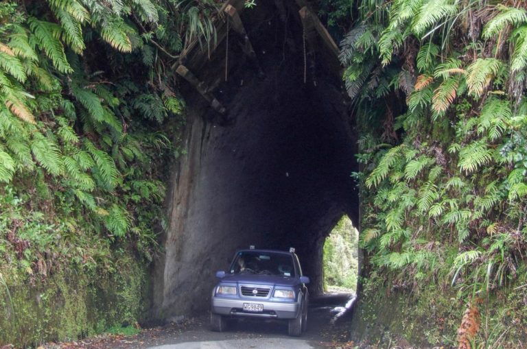 Kiwi tunnel