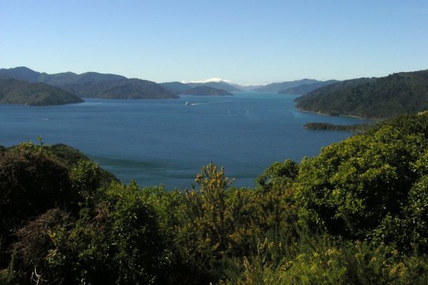 Looking down Queen Charlotte Sound at the Snout Head