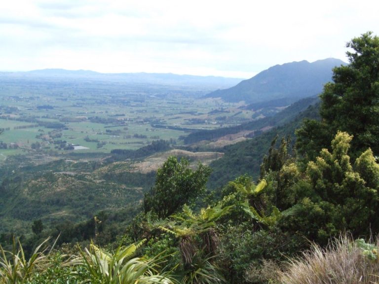 View of the Waikato