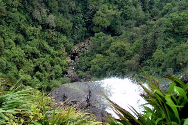 Top of the Wairere Waterfall