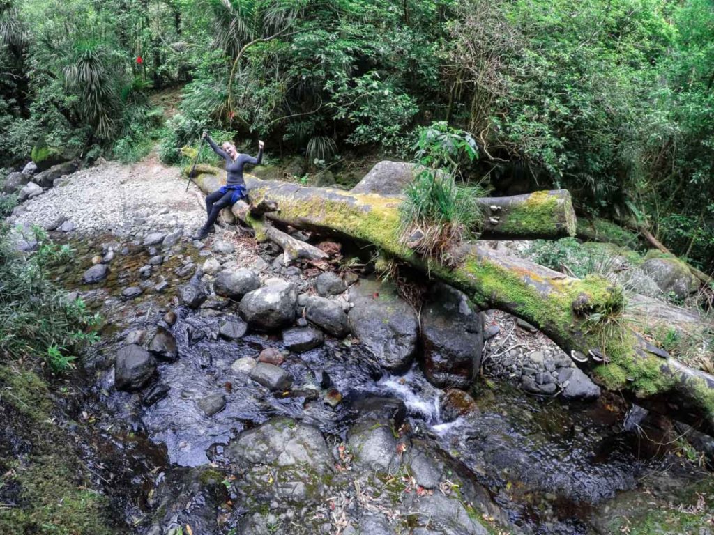 No wet feet today over the Te Rereatukahia Stream