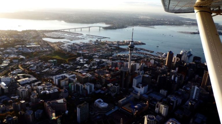 Great views of the Sky Tower and Harbour Bridge from the seaplane tour