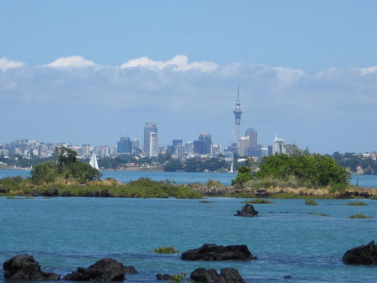 View from Rangitoto Island from the road-train tour