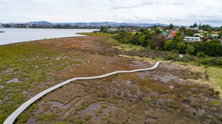 Waikareao Walk view from the drone