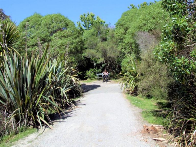 Waikareao Estuary Walk - wide walkway