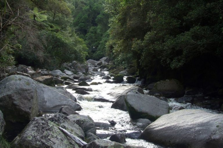 Wainui River