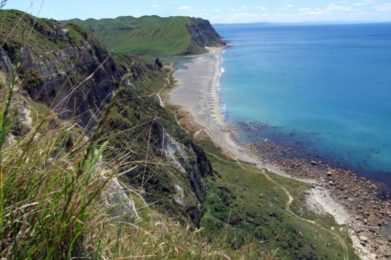 looking North to Arpoapanui Beach