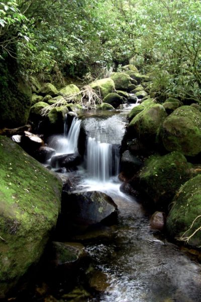 Very pretty small waterfalls. Walks in Matamata