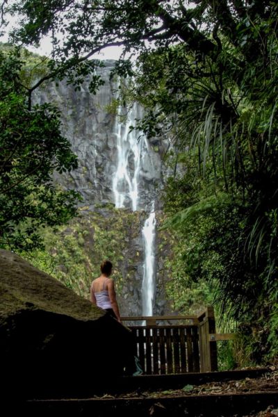 View of the Wairere Falls from the lookout