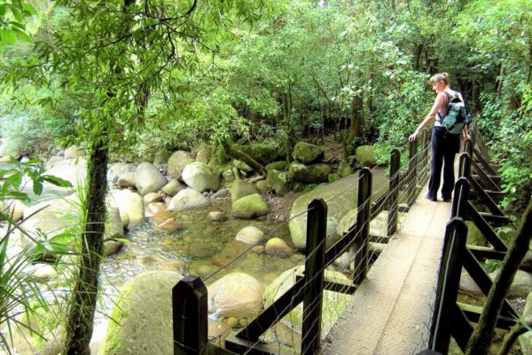 First bridge cross the Wairere Stream