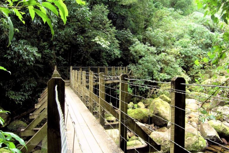 First bridge on the Wairere Falls Walk