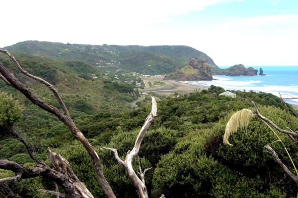 Looking back to Piha Beach