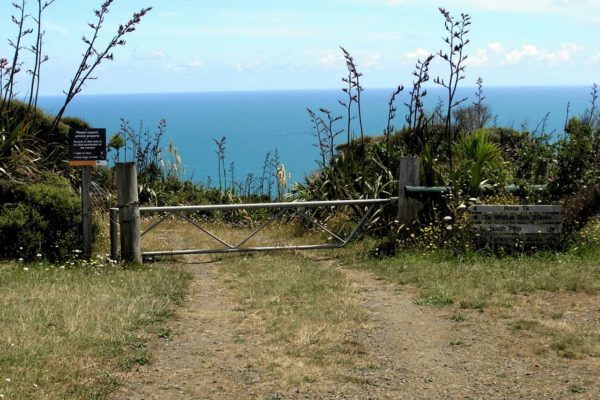 Anawhata Road Turnoff