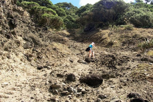 The climb to Te Waha point