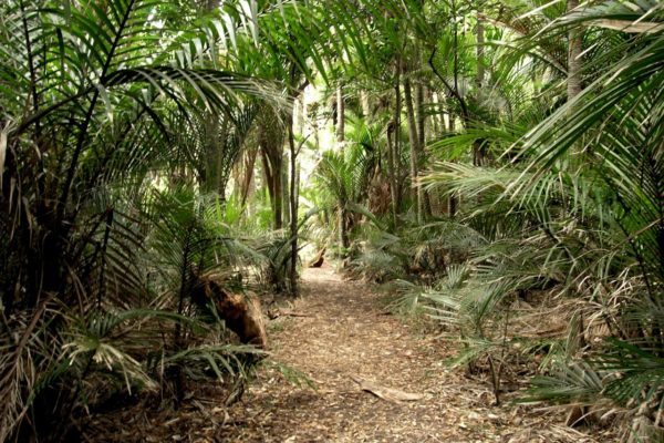 Track to White Beach