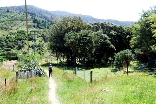 Point 8 - Walking over lovely farmland - Copyright Freewalks.nz