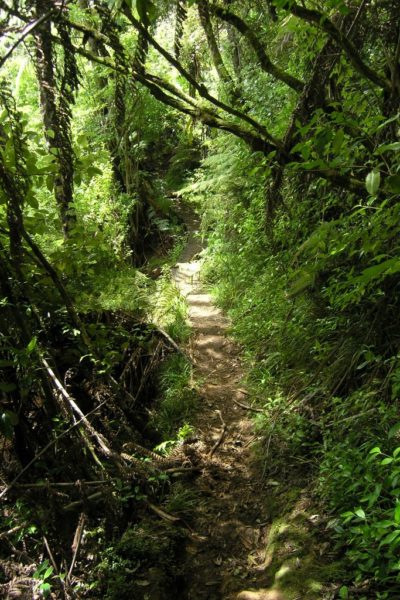 Anderson track to Scenic Drive Road is getting a bit rough now
