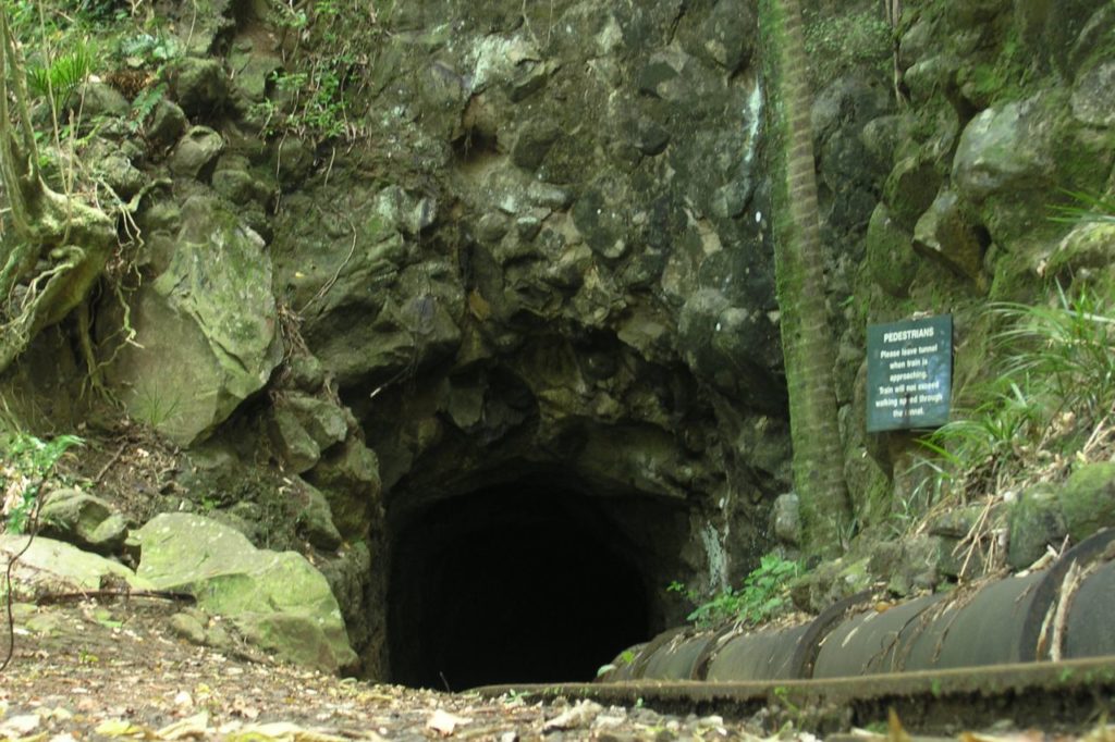 Waitakaere Dam, Tramline Track