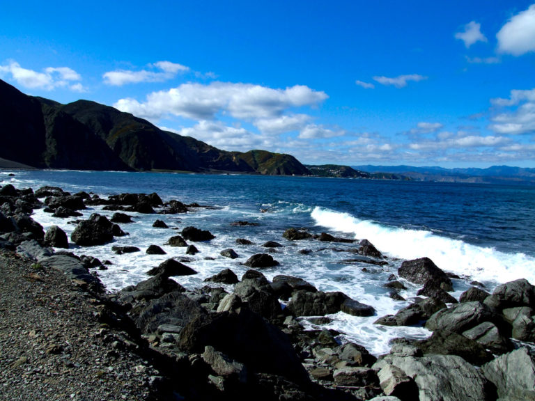 Sinclair Heads Seal Colony Walk