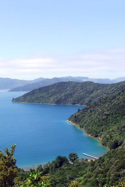 Lovely views out to the sounds - Walks near Picton