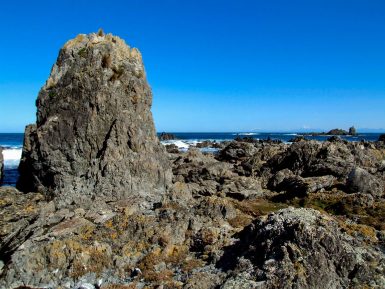 Look behind this rock for the seals