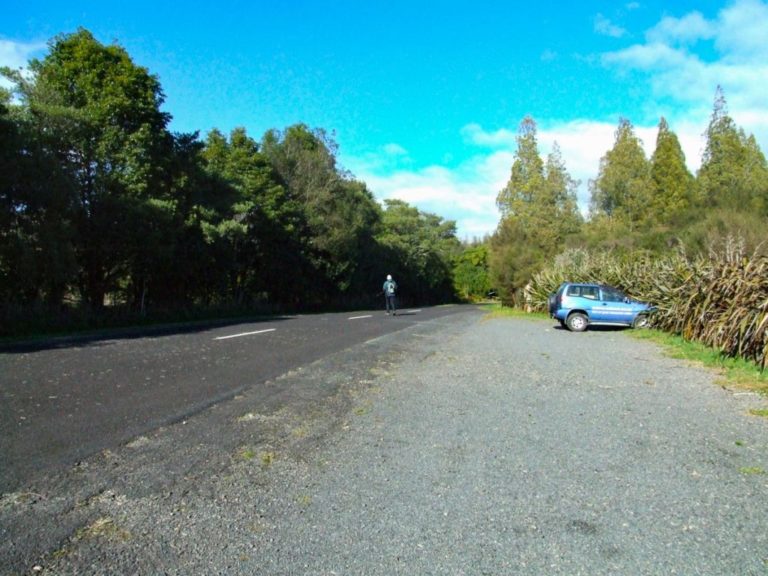 Daly's Clearing Walk