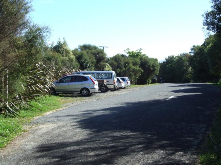 Waitawheta Hut via The Tram Line - Tramway