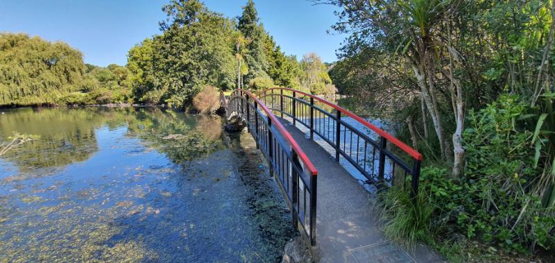 Western Springs Park - Lake Walk in Auckland - Copyright Freewalks.nz (1)