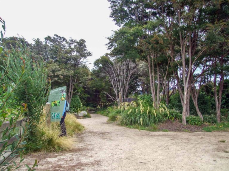 Last minute phone call if needed on the Abel Tasman walk