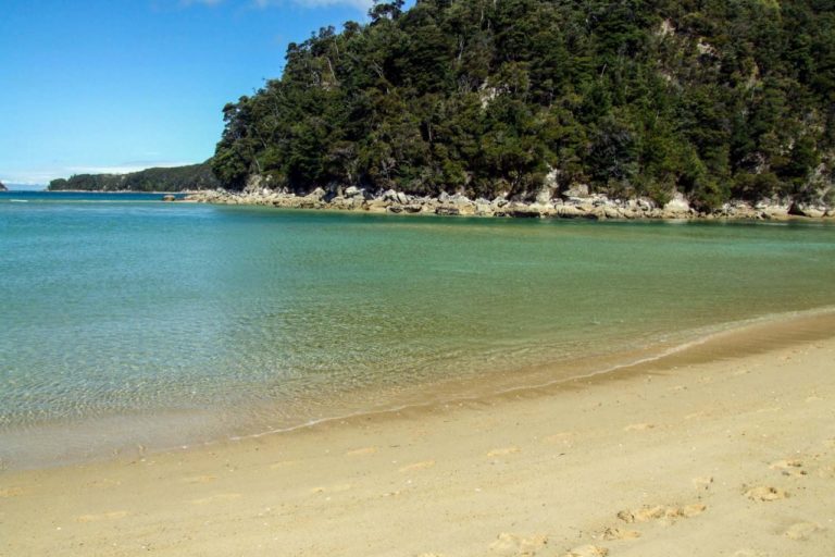 Torrent Bay