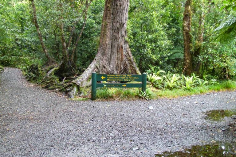 Gentle Annie Track, Powell Hut and Mountain house Turnoff