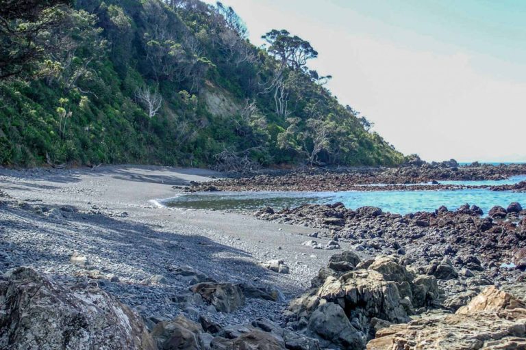 Tawharanui Beach Walk at Low Tide