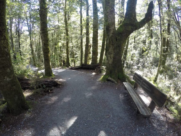 The Blue Pools Track