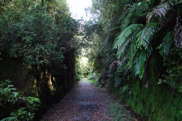 Chasm Creek Walk