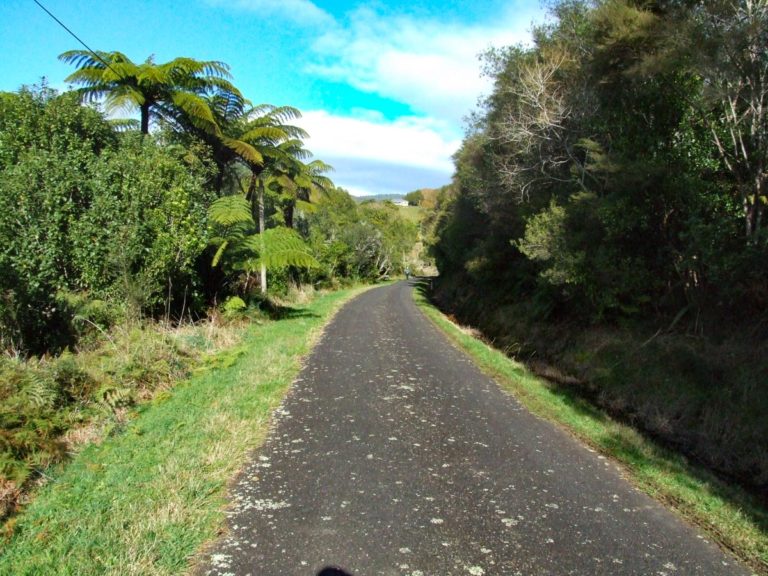 The start of the walk