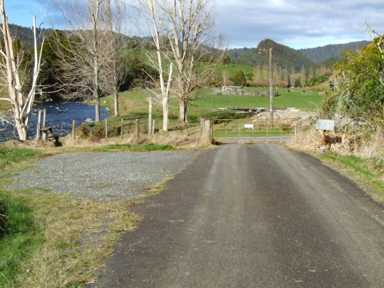 Daly's Clearing Walk