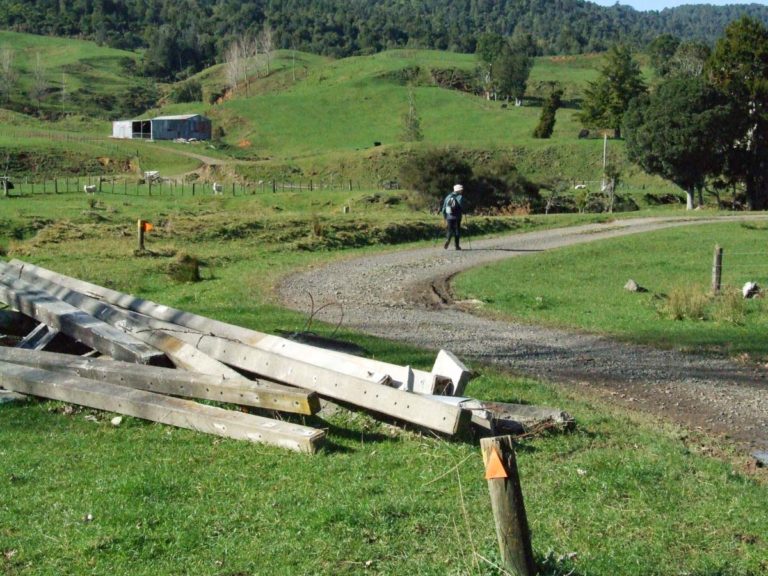 Daly's Clearing Walk