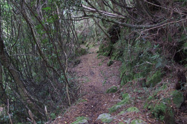 Denniston Incline, Bridal Track Walk