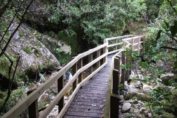 Denniston Incline, Bridal Track Walk