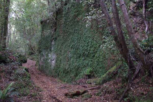 Denniston Incline, Bridal Track Walk