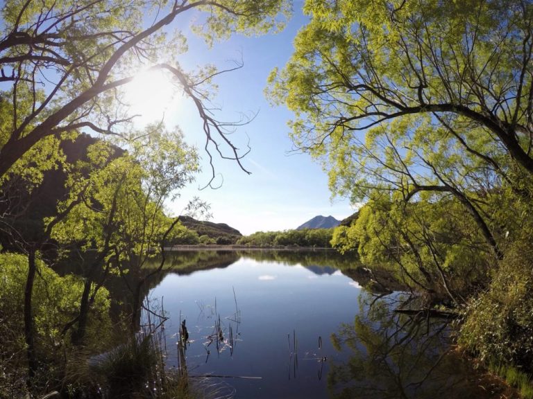 Mirror view of Diamond Lake