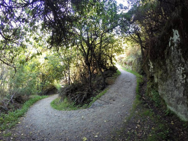 Diamond Lake & Rocky Mountain Summit Track & Lookout